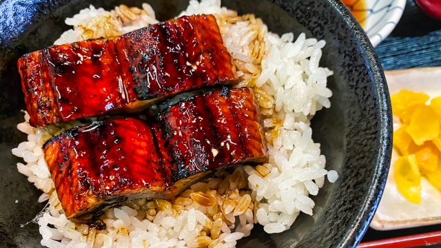 鰻丼